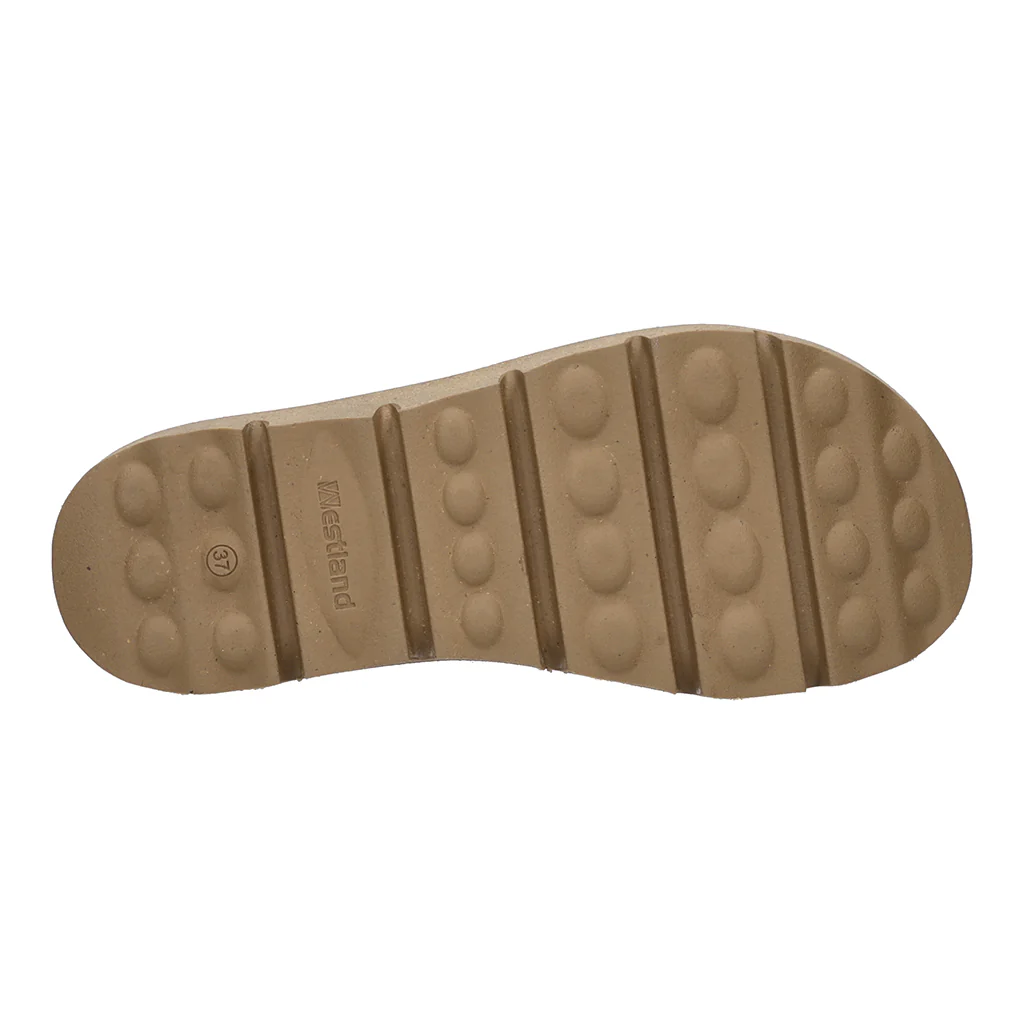 JOSEF SEIBEL Carmaux 01 - Image 14